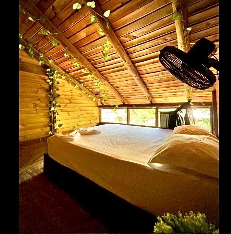 Tamarindo Beach Hostel Taganga Zewnętrze zdjęcie